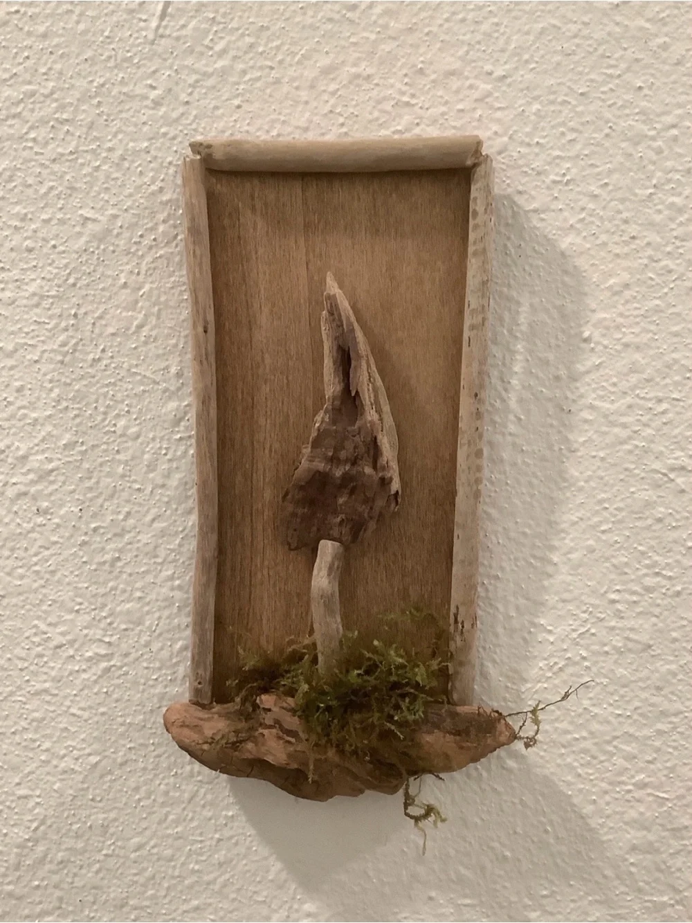 Driftwood Art, Driftwood Mushroom Wall Art , Mushroom Accent